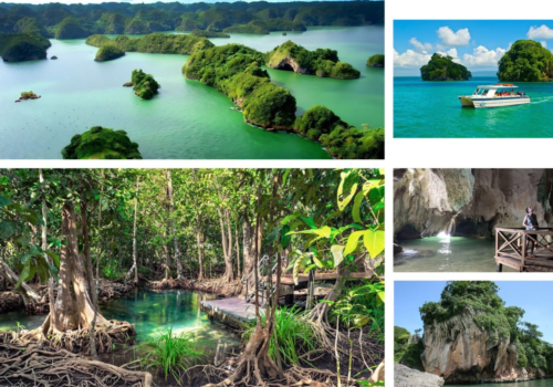 Desde Samaná: Visita a Samana, Parque Los Haitises e Isla de Cayo Levantado