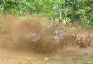 Gallery Thumbnail 2