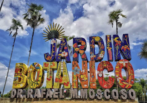 Visita al Jardín Botánico