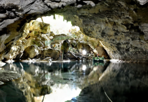 Gallery Thumbnail 0