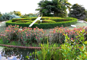 Gallery Thumbnail 1
