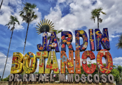 Tour al Jardín Botánico