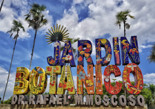 Tour al Jardín Botánico