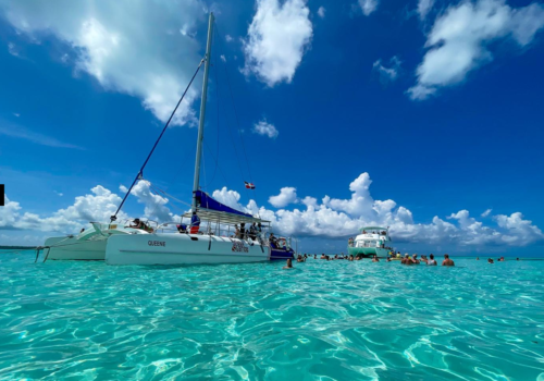 Desde Isla Saona a Bayahibe: tour VIP en catamarán por la isla Saona con servicio de recogida