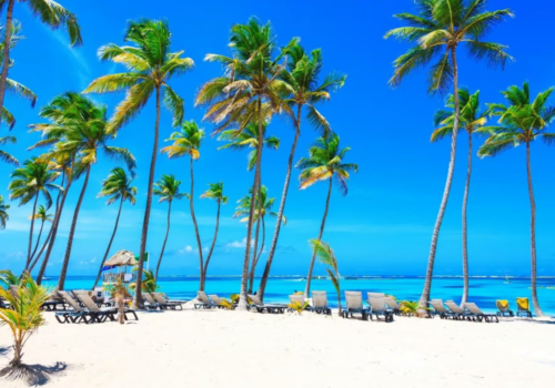 Desde Santo Domingo: excursión de 1 día a Punta Cana con paseo en buggy